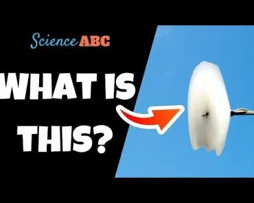 Breaking The Sound Barrier: Can Pilots Hear Sonic Booms?