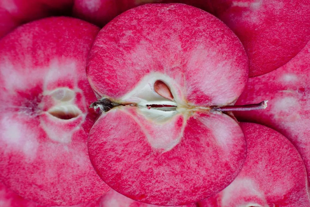 Baya®Marisa apples (Credits: scoutori/Shutterstock)