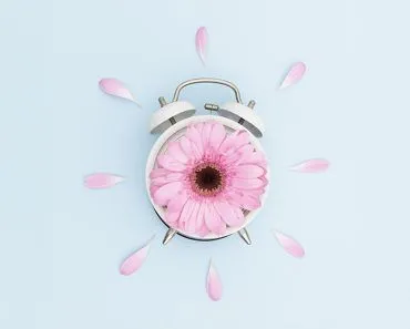 How Do Plants “Know” When To Flower?’