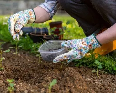 Can Human Excreta Be Used As Farm Manure?