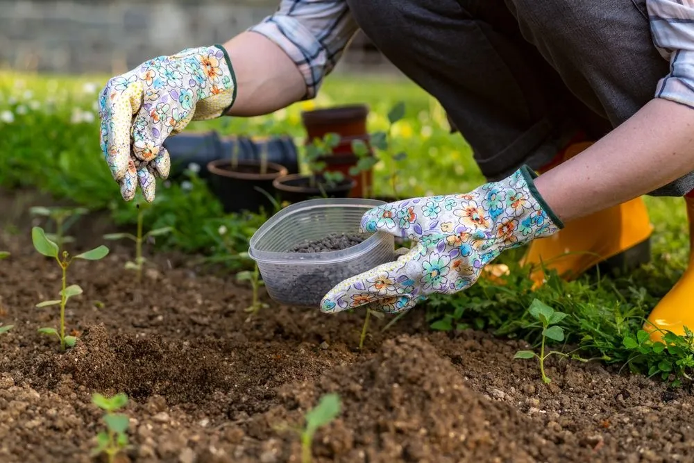 Can Human Excreta Be Used As Farm Manure?