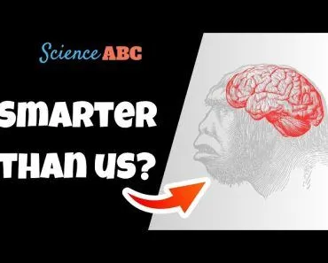 Neanderthals Vs Homo Sapiens: Different Species Or Subspecies?