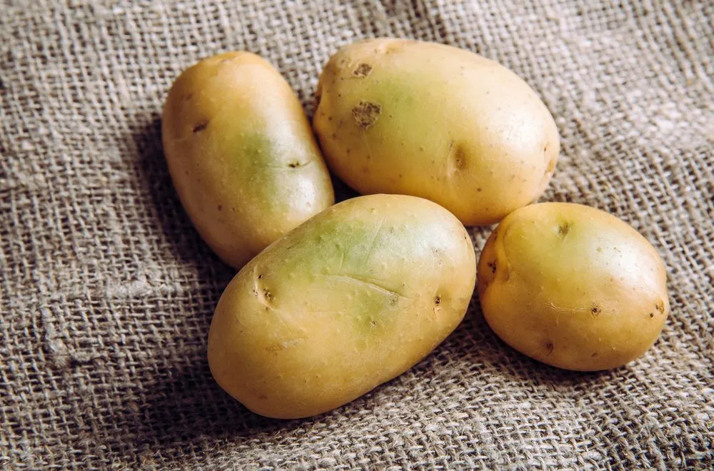 Are Green Potatoes Really Harmful?