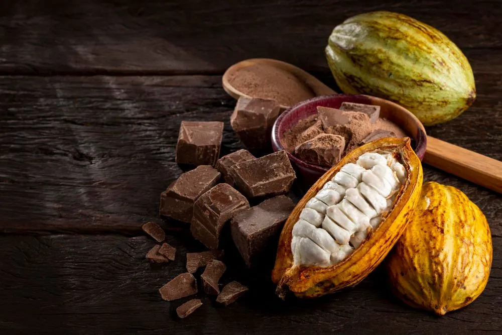 Improved genetics and the adoption of agroforestry methods can help cacao growers become climate-resilient, so we can continue to eat chocolate (Credits: WS Studio BR/Freepik)