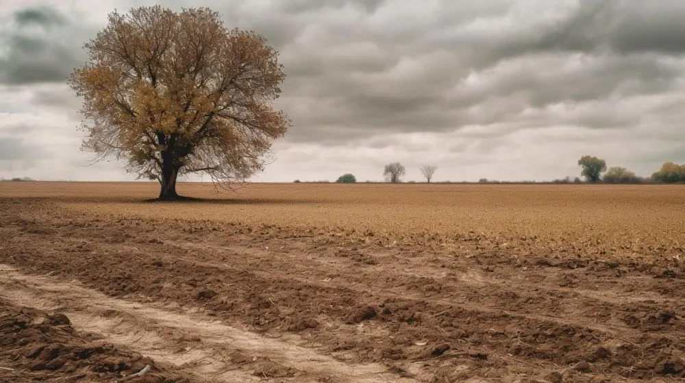 When farmers leave the field barren, rain can wash away the topsoil (Credits: abdulmoizjaangda/Freepik)