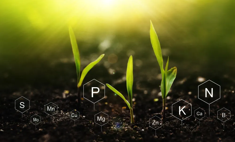 Are We Running Out Of Phosphorus?