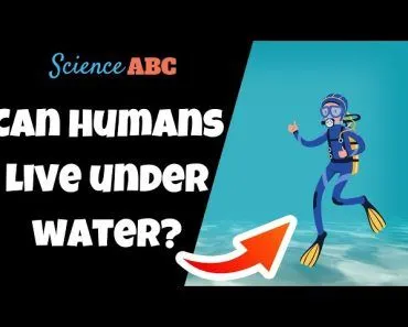 What Happens to a Human at the Bottom of the Ocean?