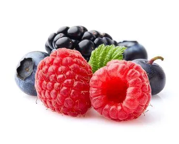 Can We Have A Fruit Without A Tree?