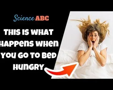 Going to Bed Hungry: How Sleep Affects Your Morning Appetite