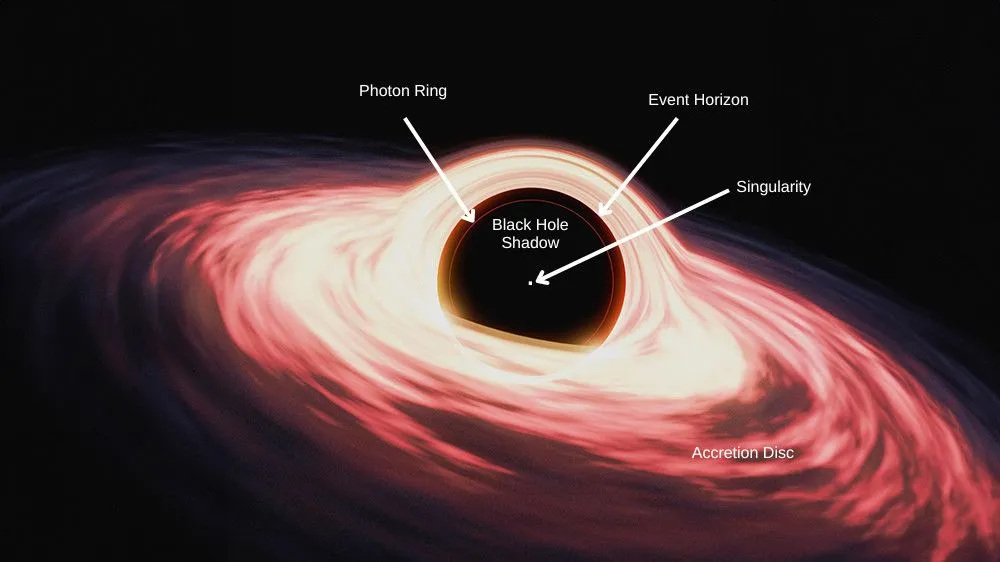 Structure of a black hole