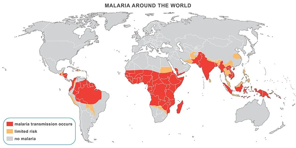 Mosquito-borne diseases like malaria are common in tropical regions, which are good breeding grounds for mosquitoes (Credits: Peteri/Shutterstock)