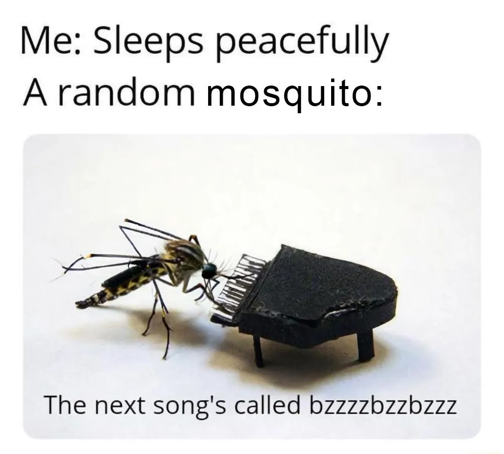 Mosquitoes buzz and disturb our sleep