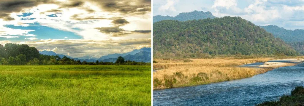 Photo on the Left– Manas National Park, a UNESCO World Heritage Site, constitutes a part of the Terai-Duars Savanna and Grassland ecosystem (Credits: Odd Man/Shutterstock)Photo on the Right– The rivers bring in huge loads of silt from the Himalayas and deposit them in this region, giving rise to the nutrient-rich soil (Credits: Sourabh Bharti/Shutterstock)