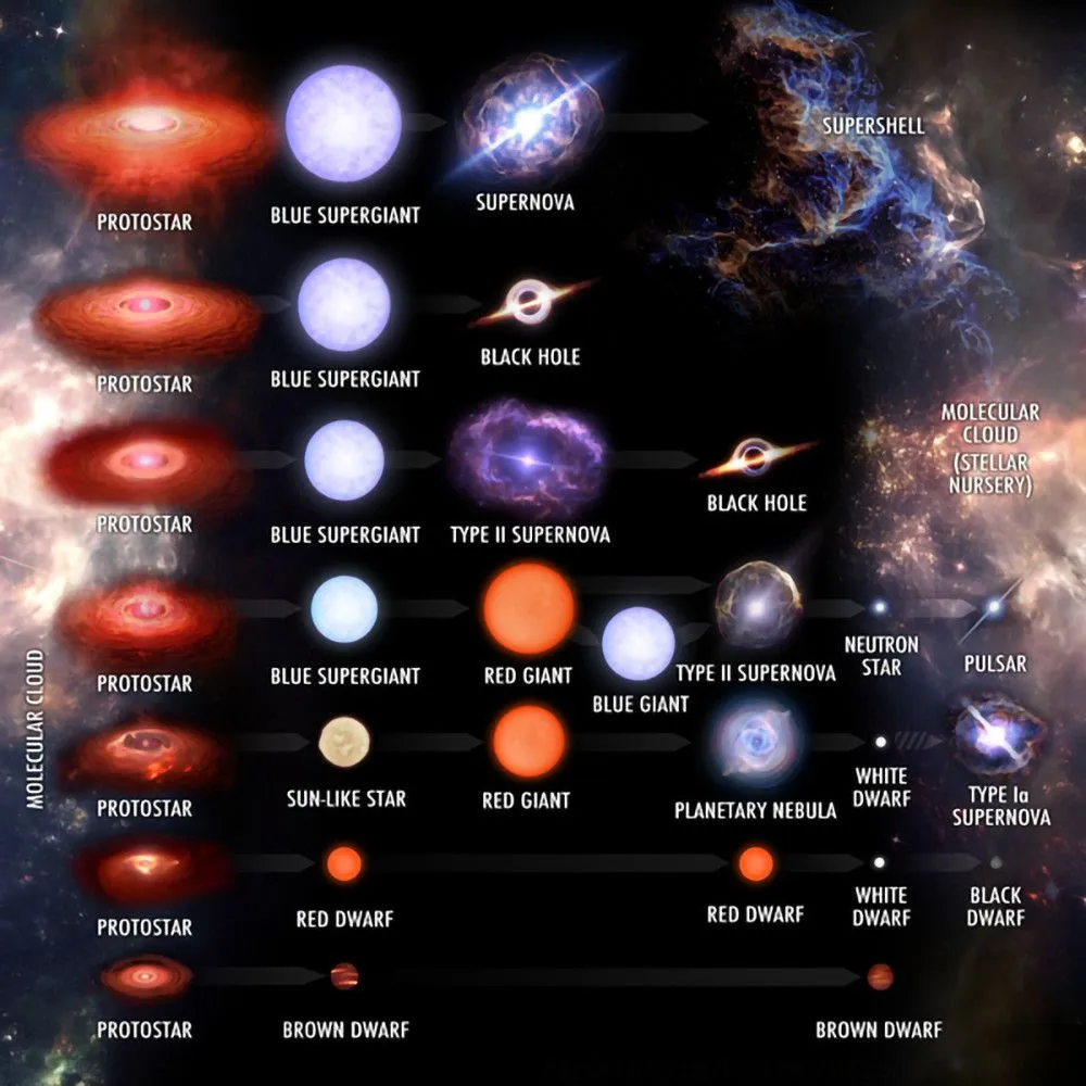 Stellar Evolution Tracks (Credits: Wikimedia Commons)