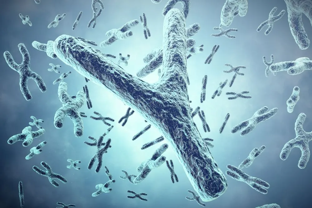 Why Did The Sequence Of The Y Chromosome Remain A Mystery Until Recently?