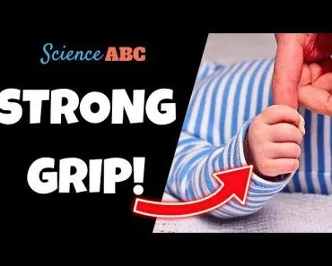 Palmar Grasp Reflex: Why Are Babies Grip So Strong?
