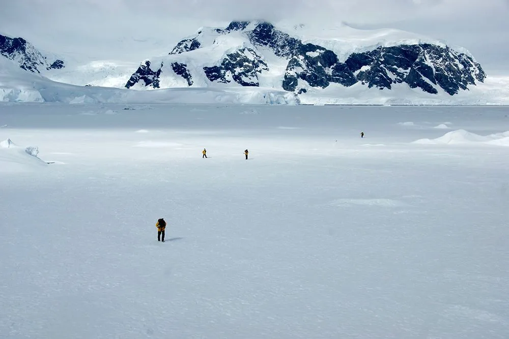 Antarctica’s extreme cold and dry climate is unsuitable for mosquitoes (Credits: ShaneFreer/Envato Elements)