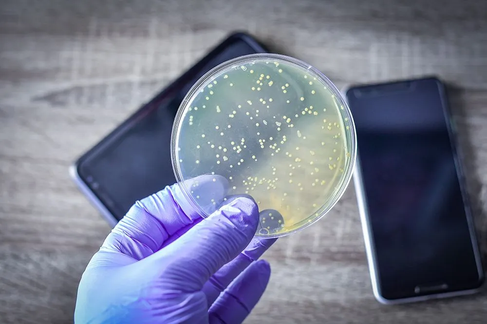 Mobile phones are carriers of many species of bacteria and can be easily transmitted (Credits: manjurulhaque/Envato Elements)