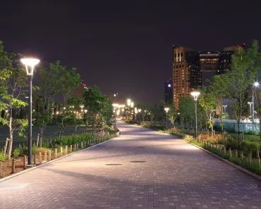 Are Street Lights Keeping Plants Awake At Night?