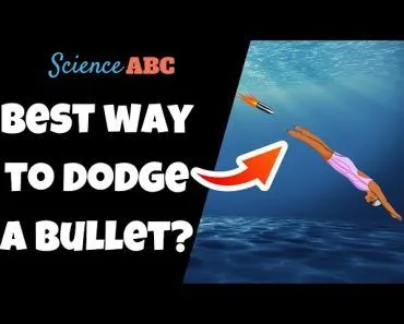 Bullets in Water: How Far Can a Bullet Travel in Water?