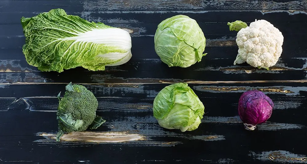 Broccoli, cabbage, cauliflower, brussels sprouts, collard greens, kohlrabi, and kale are the same species (Credits: user32601828/Freepik)