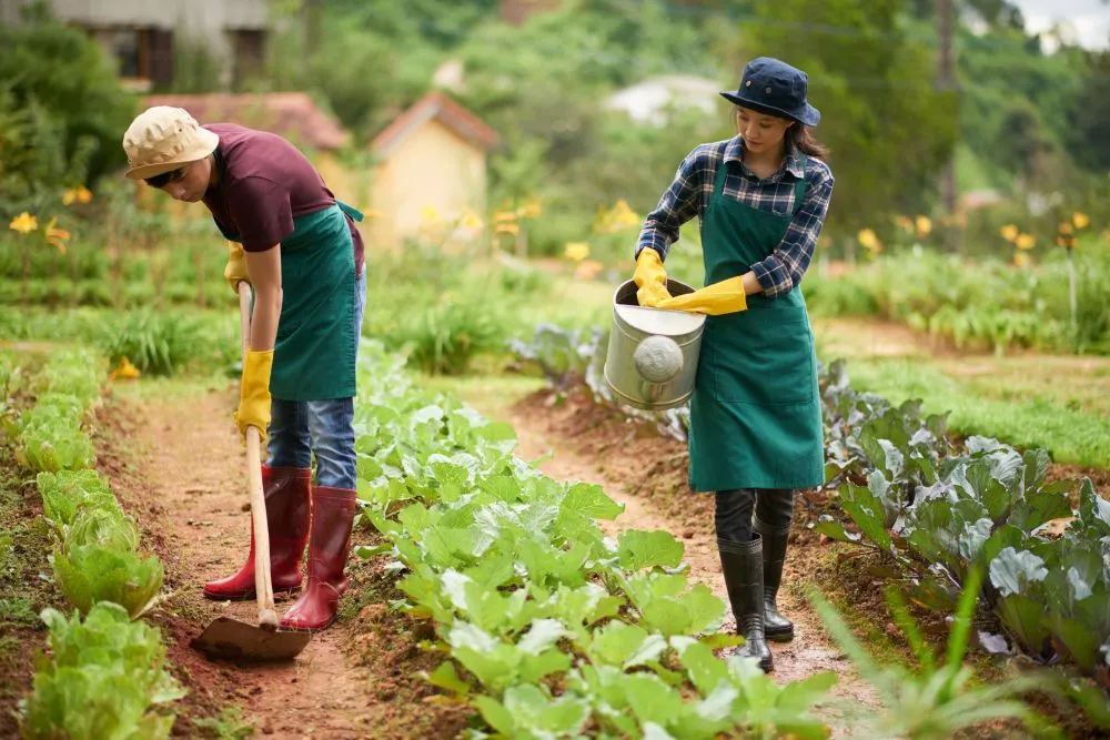 Organic farming is more labor intensive (Credits: pressfoto/Freepik)