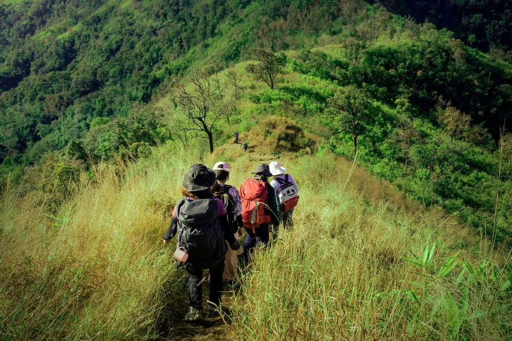 Activities like hiking have been shown to generate fear responses in animals (Credits: user7351014/Freepik)