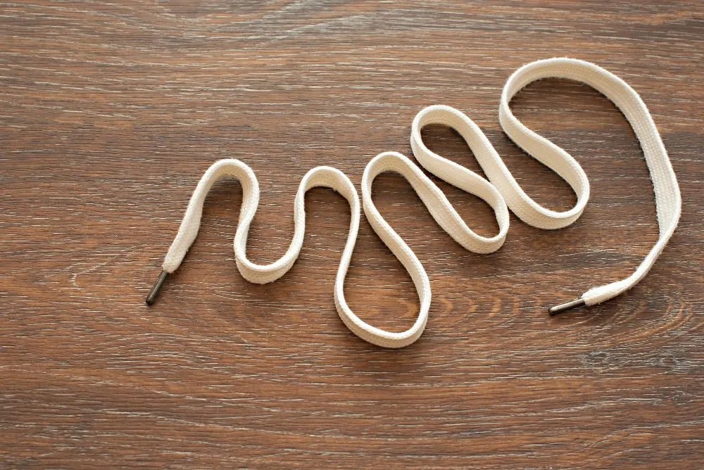 The aglet at the end of the shoelace protects it the way telomeres protectDNAstrands (Credits: evrojey/Freepik)