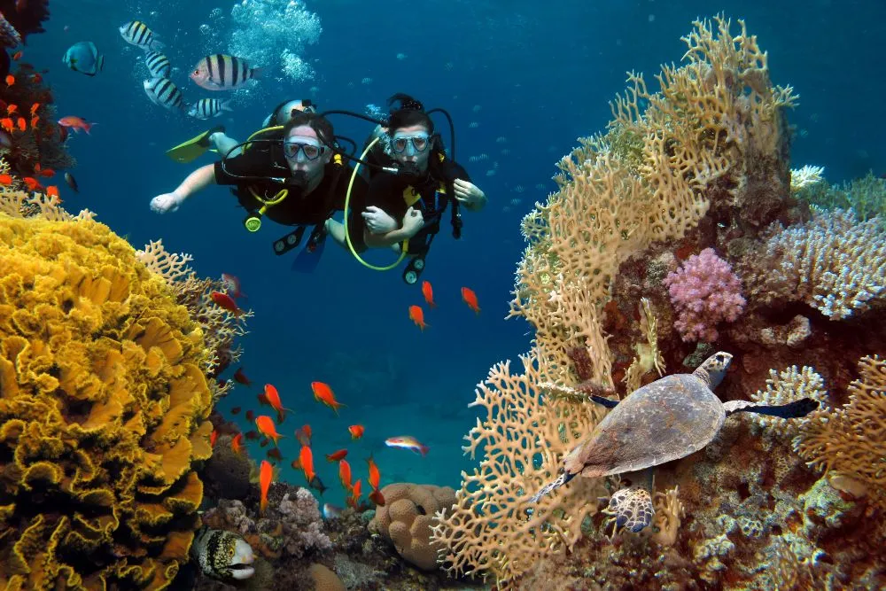 SCUBA diving in coral reefs has been shown to make changes in reef fish behavior (Credits: user12798814/Freepik)