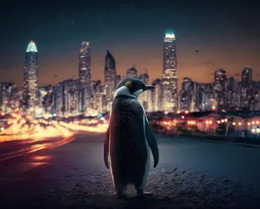 What Makes Humans Scarier Predators Than Tigers Or Lions?