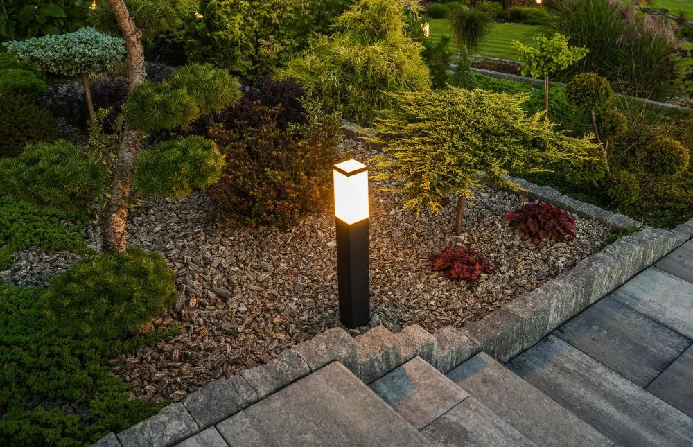When plants are exposed to artificial lights during the night, several biological functions are disrupted (Credits: welcomia/Freepik)