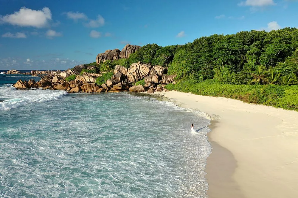 Limited mosquito species are found in the Seychelles Islands (Credits: VitalyRomanovich/Envato Elements)