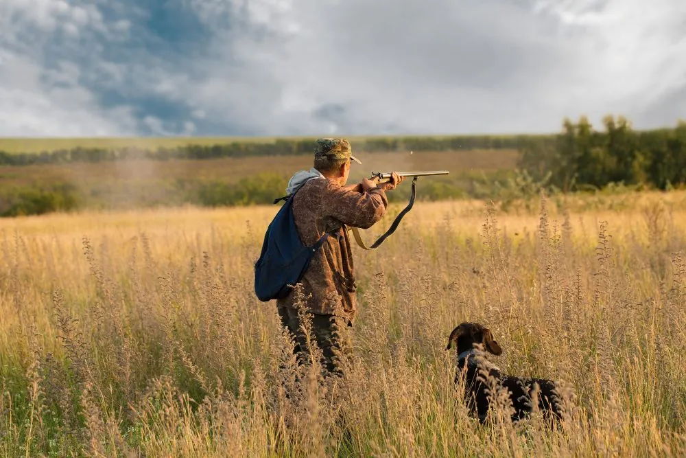 Animal hunting by humans has been found to generate a fear response in animals that often exceeds the response they have to natural predators (Credits: antonmaster/Freepik)