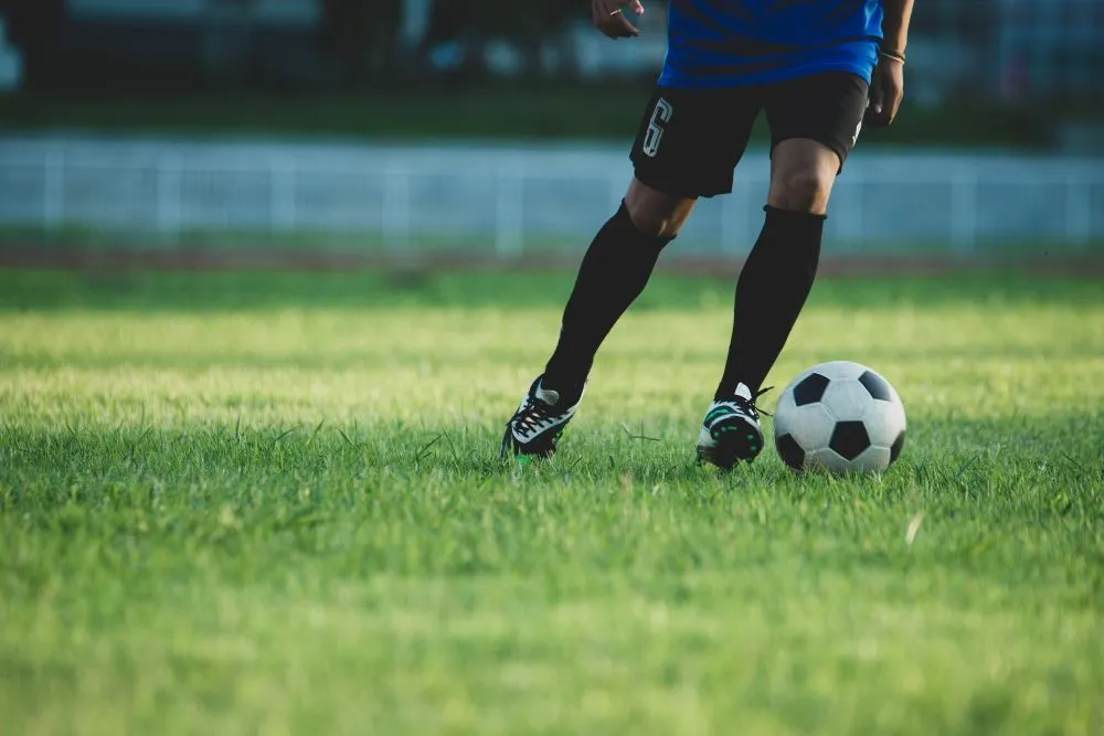 A soccer ball can lose all its energy to the ground while rolling. In this case, the energy is transferred by friction to the grass. (Credits: jcomp/Freepik)