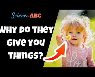 Why Do Babies (Toddlers) Hand You Things?