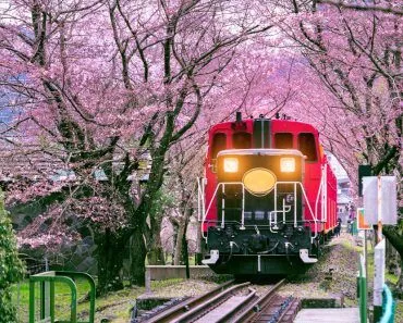 Why Do Japanese Trains Always Arrive On Time?