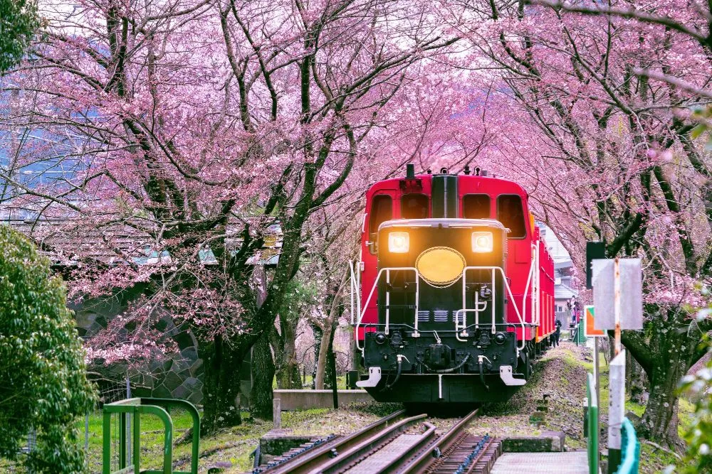 Why Do Japanese Trains Always Arrive On Time?
