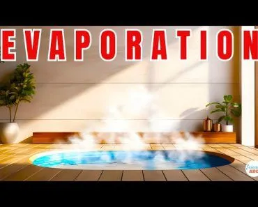 Why Does Water Evaporate at Room Temperature?