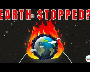 What Would Happen If The Earth Stopped Revolving Around The Sun?