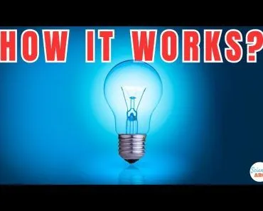 How Does a Light Bulb Work?
