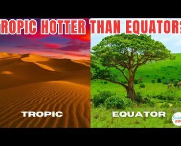 Why Are the Tropics Hotter than The Equator?