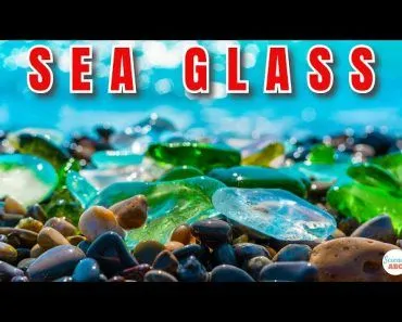 What Is Sea Glass And Where Does It Come From?
