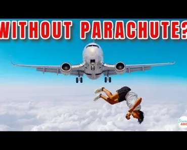 Can You Survive Jumping Out Of A Plane without A Parachute?
