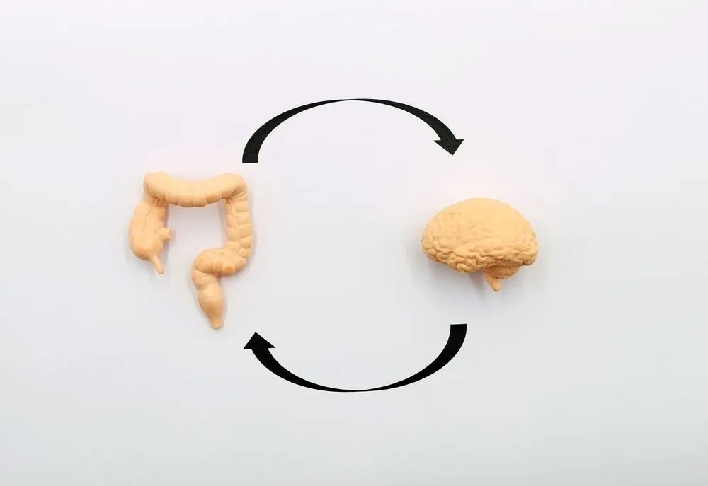 Gut-Brain Axis: A bidirectional communication between the brain and the gut. (Credits: TopMicrobialStock/Shutterstock)