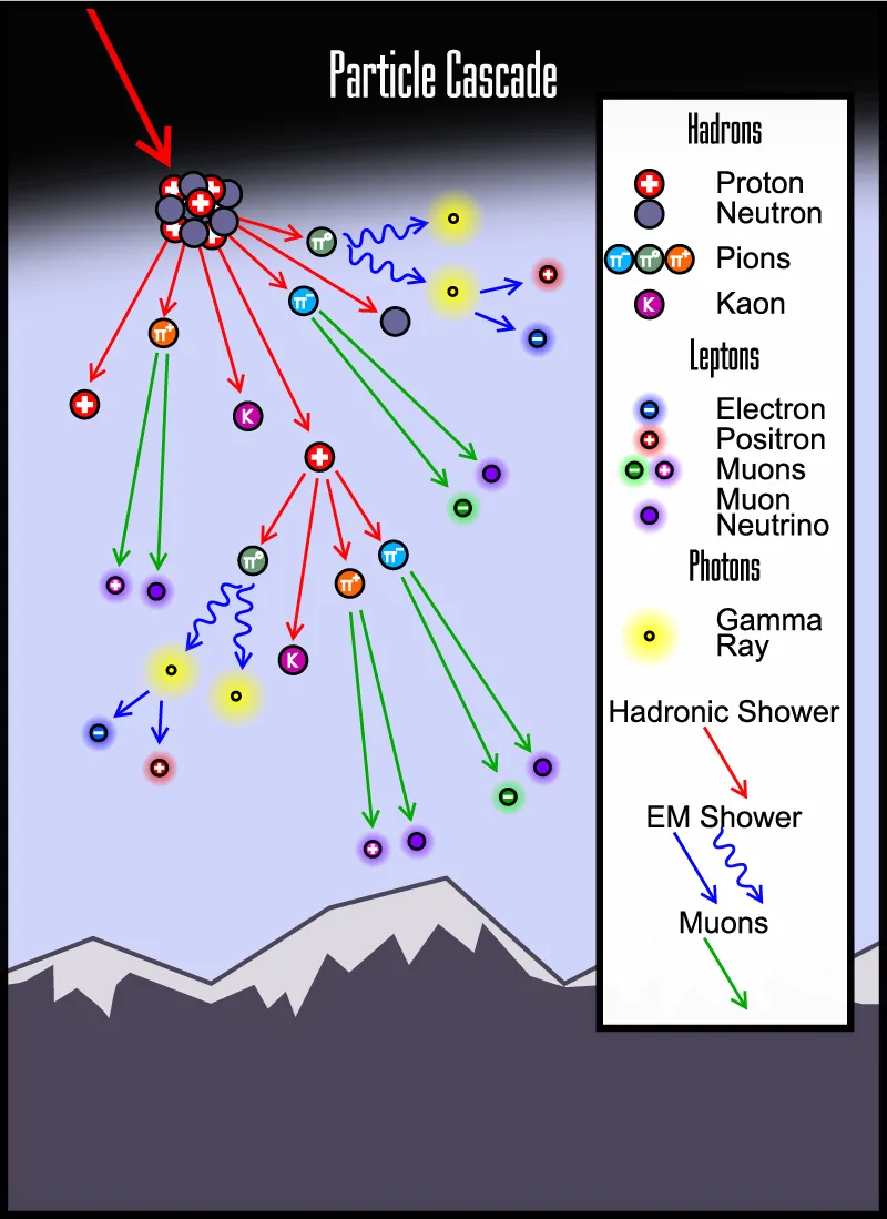 This is a general representation of what happens when a cosmic ray enters the Earth’s atmosphere. This conversion of cosmic rays into pions and muons has been referred to as the ‘cosmic ray cascade.’ (Credits: Theturnipmaster/Wikimedia Commons)