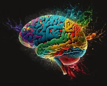 Is Color A Property Of Matter Or Generated In The Brain?