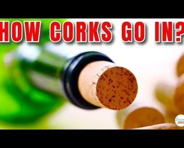 How Do They Get Those BIG CORKS Into TINY Champagne/Wine Bottle Openings?