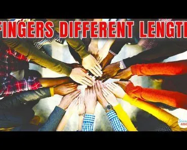 Why Are Fingers DIFFERENT Lengths?