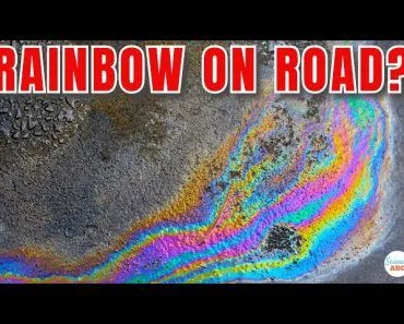 Rainbow on Road: Why Do You See Colorful ‘Rainbow’ Patches On A Wet Road?