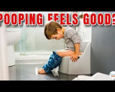Why Does POOPING Feel 'Good?'